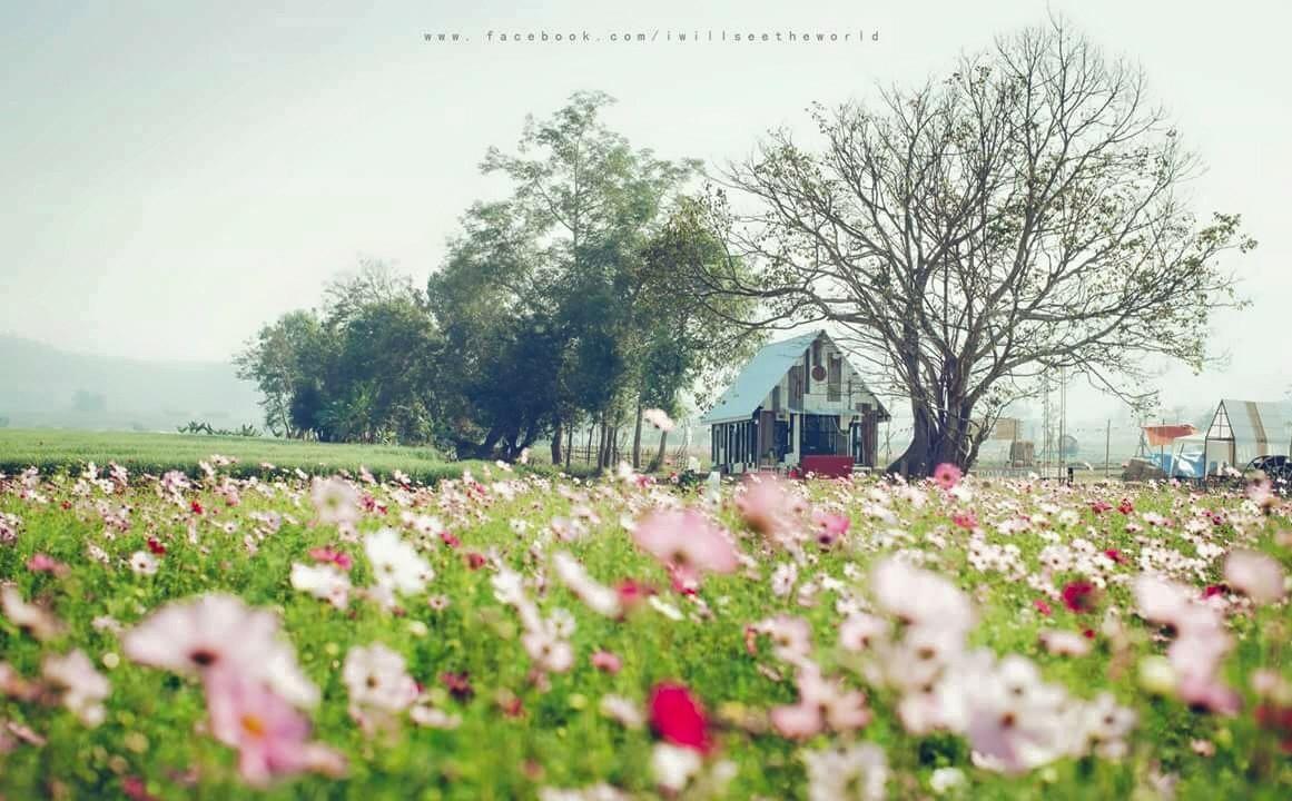 Romance - Another Story In Pai Dış mekan fotoğraf